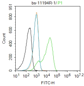 U87MG cells were fixed with 4% PFA for 10min at room temperature,permeabilized with 90% ice-cold methanol for 20 min at -20℃, and incubated in 5% BSA blocking buffer for 30 min at room temperature. Cells were then stained with OLIG2 Polyclonal Antibody(bs-11194R)at 1:100 dilution in blocking buffer and incubated for 30 min at room temperature, washed twice with 2%BSA in PBS, followed by secondary antibody incubation for 40 min at room temperature. Acquisitions of 20,000 events were performed. Cells stained with primary antibody (green), and isotype control (orange).