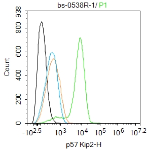 SH-SY5Y cells were fixed with 4% PFA for 10min at room temperature,permeabilized with 90% ice-cold methanol for 20 min at -20\u2103, and incubated in 5% BSA blocking buffer for 30 min at room temperature. Cells were then stained with CDKN1C Polyclonal Antibody(bs-0538R)at 1:100 dilution in blocking buffer and incubated for 30 min at room temperature, washed twice with 2%BSA in PBS, followed by secondary antibody incubation for 40 min at room temperature. Acquisitions of 20,000 events were performed. Cells stained with primary antibody (green), and isotype control (orange).