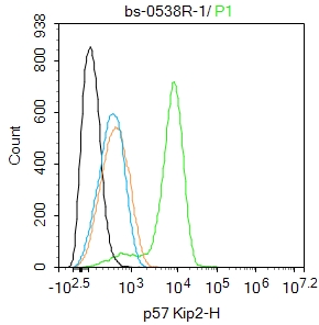 SH-SY5Y cells were fixed with 4% PFA for 10min at room temperature,permeabilized with 90% ice-cold methanol for 20 min at -20℃, and incubated in 5% BSA blocking buffer for 30 min at room temperature. Cells were then stained with CDKN1C Polyclonal Antibody(bs-0538R)at 1:100 dilution in blocking buffer and incubated for 30 min at room temperature, washed twice with 2%BSA in PBS, followed by secondary antibody incubation for 40 min at room temperature. Acquisitions of 20,000 events were performed. Cells stained with primary antibody (green), and isotype control (orange).