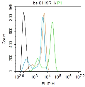 Hela cells were fixed with 4% PFA for 10min at room temperature,permeabilized with 90% ice-cold methanol for 20 min at -20℃, and incubated in 5% BSA blocking buffer for 30 min at room temperature. Cells were then stained with CFLAR Polyclonal Antibody(bs-0119R)at 1:100 dilution in blocking buffer and incubated for 30 min at room temperature, washed twice with 2%BSA in PBS, followed by secondary antibody incubation for 40 min at room temperature. Acquisitions of 20,000 events were performed. Cells stained with primary antibody (green), and isotype control (orange).