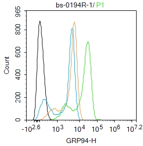 Hela cells were fixed with 4% PFA for 10min at room temperature,permeabilized with 90% ice-cold methanol for 20 min at -20℃, and incubated in 5% BSA blocking buffer for 30 min at room temperature. Cells were then stained with GRP94 Polyclonal Antibody(bs-0194R)at 1:100 dilution in blocking buffer and incubated for 30 min at room temperature, washed twice with 2%BSA in PBS, followed by secondary antibody incubation for 40 min at room temperature. Acquisitions of 20,000 events were performed. Cells stained with primary antibody (green), and isotype control (orange).