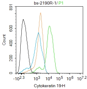MCF-7 cells were fixed with 4% PFA for 10min at room temperature,permeabilized with 90% ice-cold methanol for 20 min at -20℃, and incubated in 5% BSA blocking buffer for 30 min at room temperature. Cells were then stained with pan-Cytokeratin Polyclonal Antibody(bs-2190R)at 1:100 dilution in blocking buffer and incubated for 30 min at room temperature, washed twice with 2%BSA in PBS, followed by secondary antibody incubation for 40 min at room temperature. Acquisitions of 20,000 events were performed. Cells stained with primary antibody (green), and isotype control (orange).