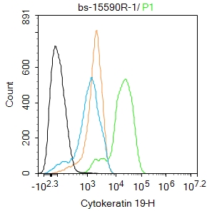 MCF-7 cells were fixed with 4% PFA for 10min at room temperature,permeabilized with 90% ice-cold methanol for 20 min at -20℃, and incubated in 5% BSA blocking buffer for 30 min at room temperature. Cells were then stained with K19/CYFRA21-1 Polyclonal Antibody(bs-15590R)at 1:100 dilution in blocking buffer and incubated for 30 min at room temperature, washed twice with 2%BSA in PBS, followed by secondary antibody incubation for 40 min at room temperature. Acquisitions of 20,000 events were performed. Cells stained with primary antibody (green), and isotype control (orange).