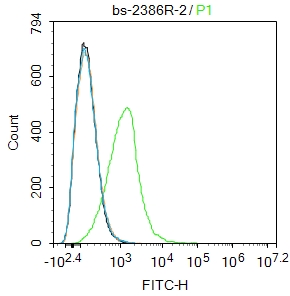 MCF-7 cells were fixed with 4% PFA for 10min at room temperature,permeabilized with 90% ice-cold methanol for 20 min at -20℃, and incubated in 5% BSA blocking buffer for 30 min at room temperature. Cells were then stained with CD47/MER6 Polyclonal Antibody(bs-2386R)at 1:100 dilution in blocking buffer and incubated for 30 min at room temperature, washed twice with 2%BSA in PBS, followed by secondary antibody incubation for 40 min at room temperature. Acquisitions of 20,000 events were performed. Cells stained with primary antibody (green), and isotype control (orange).