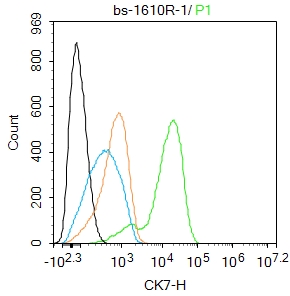 Hela cells were fixed with 4% PFA for 10min at room temperature,permeabilized with 90% ice-cold methanol for 20 min at -20℃, and incubated in 5% BSA blocking buffer for 30 min at room temperature. Cells were then stained with CK7 Polyclonal Antibody(bs-1610R)at 1:100 dilution in blocking buffer and incubated for 30 min at room temperature, washed twice with 2%BSA in PBS, followed by secondary antibody incubation for 40 min at room temperature. Acquisitions of 20,000 events were performed. Cells stained with primary antibody (green), and isotype control (orange).