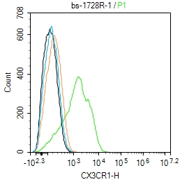 Raw264.7 cells were incubated in 5% BSA blocking buffer for 30 min at room temperature. Cells were then stained with CX3CR1 Polyclonal Antibody(bs-1728R)at 1:100 dilution in blocking buffer and incubated for 30 min at room temperature, washed twice with 2%BSA in PBS, followed by secondary antibody incubation for 40 min at room temperature. Acquisitions of 20,000 events were performed. Cells stained with primary antibody (green), and isotype control (orange).