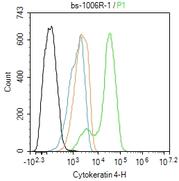 Hela cells were fixed with 4% PFA for 10min at room temperature,permeabilized with 90% ice-cold methanol for 20 min at -20℃, and incubated in 5% BSA blocking buffer for 30 min at room temperature. Cells were then stained with CK4 Polyclonal Antibody(bs-1006R)at 1:100 dilution in blocking buffer and incubated for 30 min at room temperature, washed twice with 2%BSA in PBS, followed by secondary antibody incubation for 40 min at room temperature. Acquisitions of 20,000 events were performed. Cells stained with primary antibody (green), and isotype control (orange).