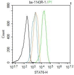 Hela cells were fixed with 4% PFA for 10min at room temperature,permeabilized with 90% ice-cold methanol for 20 min at -20℃, and incubated in 5% BSA blocking buffer for 30 min at room temperature. Cells were then stained with STAT6 Polyclonal Antibody(bs-1143R)at 1:100 dilution in blocking buffer and incubated for 30 min at room temperature, washed twice with 2%BSA in PBS, followed by secondary antibody incubation for 40 min at room temperature. Acquisitions of 20,000 events were performed. Cells stained with primary antibody (green), and isotype control (orange). Hela cells were fixed with 4% PFA for 10min at room temperature,permeabilized with 90% ice-cold methanol for 20 min at -20℃, and incubated in 5% BSA blocking buffer for 30 min at room temperature. Cells were then stained with STAT6 Polyclonal Antibody(bs-1143R)at 1:100 dilution in blocking buffer and incubated for 30 min at room temperature, washed twice with 2%BSA in PBS, followed by secondary antibody incubation for 40 min at room temperature. Acquisitions of 20,000 events were performed. Cells stained with primary antibody (green), and isotype control (orange).