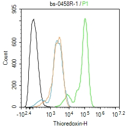 SH-SY5Y cells were fixed with 4% PFA for 10min at room temperature,permeabilized with 90% ice-cold methanol for 20 min at -20℃, and incubated in 5% BSA blocking buffer for 30 min at room temperature. Cells were then stained with Thioredoxin Polyclonal Antibody(bs-0458R)at 1:100 dilution in blocking buffer and incubated for 30 min at room temperature, washed twice with 2%BSA in PBS, followed by secondary antibody incubation for 40 min at room temperature. Acquisitions of 20,000 events were performed. Cells stained with primary antibody (green), and isotype control (orange).