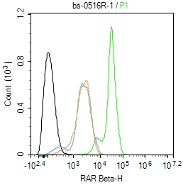 SH-SY5Y cells were fixed with 4% PFA for 10min at room temperature,permeabilized with 90% ice-cold methanol for 20 min at -20\u2103, and incubated in 5% BSA blocking buffer for 30 min at room temperature. Cells were then stained with RAR Beta Polyclonal Antibody(bs-0516R)at 1:100 dilution in blocking buffer and incubated for 30 min at room temperature, washed twice with 2%BSA in PBS, followed by secondary antibody incubation for 40 min at room temperature. Acquisitions of 20,000 events were performed. Cells stained with primary antibody (green), and isotype control (orange).