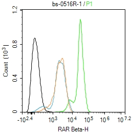 SH-SY5Y cells were fixed with 4% PFA for 10min at room temperature,permeabilized with 90% ice-cold methanol for 20 min at -20℃, and incubated in 5% BSA blocking buffer for 30 min at room temperature. Cells were then stained with RAR Beta Polyclonal Antibody(bs-0516R)at 1:100 dilution in blocking buffer and incubated for 30 min at room temperature, washed twice with 2%BSA in PBS, followed by secondary antibody incubation for 40 min at room temperature. Acquisitions of 20,000 events were performed. Cells stained with primary antibody (green), and isotype control (orange).