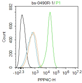 HepG2 cells were fixed with 4% PFA for 10min at room temperature,permeabilized with 90% ice-cold methanol for 20 min at -20\u2103, and incubated in 5% BSA blocking buffer for 30 min at room temperature. Cells were then stained with PPP4C Polyclonal Antibody(bs-0490R)at 1:100 dilution in blocking buffer and incubated for 30 min at room temperature, washed twice with 2%BSA in PBS, followed by secondary antibody incubation for 40 min at room temperature. Acquisitions of 20,000 events were performed. Cells stained with primary antibody (green), and isotype control (orange).