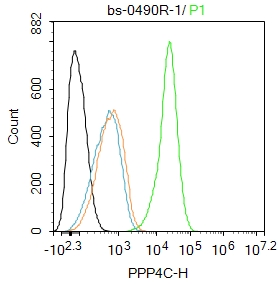 HepG2 cells were fixed with 4% PFA for 10min at room temperature,permeabilized with 90% ice-cold methanol for 20 min at -20℃, and incubated in 5% BSA blocking buffer for 30 min at room temperature. Cells were then stained with PPP4C Polyclonal Antibody(bs-0490R)at 1:100 dilution in blocking buffer and incubated for 30 min at room temperature, washed twice with 2%BSA in PBS, followed by secondary antibody incubation for 40 min at room temperature. Acquisitions of 20,000 events were performed. Cells stained with primary antibody (green), and isotype control (orange).