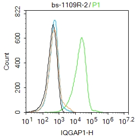 U87MG cells were incubated in 5% BSA blocking buffer for 30 min at room temperature. Cells were then stained with IQGAP1 Polyclonal Antibody(bs-1109R)at 1:100 dilution in blocking buffer and incubated for 30 min at room temperature, washed twice with 2%BSA in PBS, followed by secondary antibody incubation for 40 min at room temperature. Acquisitions of 20,000 events were performed. Cells stained with primary antibody (green), and isotype control (orange).