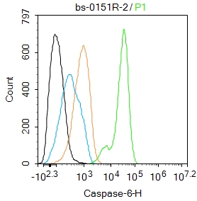 K562 cells were fixed with 4% PFA for 10min at room temperature,permeabilized with 90% ice-cold methanol for 20 min at -20℃, and incubated in 5% BSA blocking buffer for 30 min at room temperature. Cells were then stained with Caspase-6 Polyclonal Antibody(bs-0151R)at 1:50 dilution in blocking buffer and incubated for 30 min at room temperature, washed twice with 2%BSA in PBS, followed by secondary antibody incubation for 40 min at room temperature. Acquisitions of 20,000 events were performed. Cells stained with primary antibody (green), and isotype control (orange).