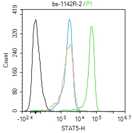 Jurkat cells were fixed with 4% PFA for 10min at room temperature,permeabilized with 90% ice-cold methanol for 20 min at -20℃, and incubated in 5% BSA blocking buffer for 30 min at room temperature. Cells were then stained with STAT5 Polyclonal Antibody(bs-1142R)at 1:50 dilution in blocking buffer and incubated for 30 min at room temperature, washed twice with 2%BSA in PBS, followed by secondary antibody incubation for 40 min at room temperature. Acquisitions of 20,000 events were performed. Cells stained with primary antibody (green), and isotype control (orange). Jurkat cells were fixed with 4% PFA for 10min at room temperature,permeabilized with 90% ice-cold methanol for 20 min at -20℃, and incubated in 5% BSA blocking buffer for 30 min at room temperature. Cells were then stained with STAT5 Polyclonal Antibody(bs-1142R)at 1:50 dilution in blocking buffer and incubated for 30 min at room temperature, washed twice with 2%BSA in PBS, followed by secondary antibody incubation for 40 min at room temperature. Acquisitions of 20,000 events were performed. Cells stained with primary antibody (green), and isotype control (orange).