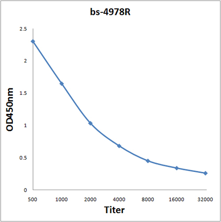 Antigen: bs-4978P, 0.2ug/100ul \nPrimary: Antiserum, 1:500, 1:1000, 1:2000, 1:4000, 1:8000, 1:16000, 1:32000; \nSecondary: HRP conjugated Goat-Anti-Rabbit IgG(bs-0295G-HRP) at 1: 5000;\nTMB staining;\nRead the data in MicroplateReader by 450