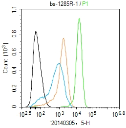 U937 cells(black) were fixed with 4% PFA for 10min at room temperature,permeabilized with 90% ice-cold methanol for 20 min at -20℃, and incubated in 5% BSA blocking buffer for 30 min at room temperature. Cells were then stained with ETS1 Polyclonal Antibody(bs-1285R)at 1:200 dilution in blocking buffer and incubated for 30 min at room temperature, washed twice with 2% BSA in PBS, followed by secondary antibody(blue) incubation for 40 min at room temperature. Acquisitions of 20,000 events were performed. Cells stained with primary antibody (green), and isotype control (orange).