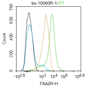 U937 cells were incubated in 5% BSA blocking buffer for 30 min at room temperature. Cells were then stained with TXA2R Polyclonal Antibody(bs-10060R)at 1:100 dilution in blocking buffer and incubated for 30 min at room temperature, washed twice with 2%BSA in PBS, followed by secondary antibody incubation for 40 min at room temperature. Acquisitions of 20,000 events were performed. Cells stained with primary antibody (green), and isotype control (orange).