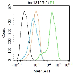 Hela cells were fixed with 4% PFA for 10min at room temperature,permeabilized with 90% ice-cold methanol for 20 min at -20℃, and incubated in 5% BSA blocking buffer for 30 min at room temperature. Cells were then stained with ERK4 Polyclonal Antibody(bs-1319R)at 1:50 dilution in blocking buffer and incubated for 30 min at room temperature, washed twice with 2%BSA in PBS, followed by secondary antibody incubation for 40 min at room temperature. Acquisitions of 20,000 events were performed. Cells stained with primary antibody (green), and isotype control (orange).