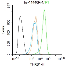 Blank control:A431. _x000D_ Primary Antibody (green line): Rabbit Anti-THRB1 antibody (bs-11440R) _x000D_ Dilution: 1ug/Test; _x000D_ Protocol_x000D_ Hela cells were incubated in 5% BSA blocking buffer for 30 min at room temperature. Cells were then stained with THRB1Polyclonal Antibody(bs-11440R)at 1:100 dilution in blocking buffer and incubated for 30 min at room temperature, washed twice with 2%BSA in PBS, followed by secondary antibody incubation for 40 min at room temperature. Acquisitions of 20,000 events were performed. Cells stained with primary antibody (green), and isotype control (orange). Blank control:A431. _x000D_ Primary Antibody (green line): Rabbit Anti-THRB1 antibody (bs-11440R) _x000D_ Dilution: 1ug/Test; _x000D_ Protocol_x000D_ Hela cells were incubated in 5% BSA blocking buffer for 30 min at room temperature. Cells were then stained with THRB1Polyclonal Antibody(bs-11440R)at 1:100 dilution in blocking buffer and incubated for 30 min at room temperature, washed twice with 2%BSA in PBS, followed by secondary antibody incubation for 40 min at room temperature. Acquisitions of 20,000 events were performed. Cells stained with primary antibody (green), and isotype control (orange).