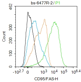 Raji cells were incubated in 5% BSA blocking buffer for 30 min at room temperature. Cells were then stained with CD95/FAS Polyclonal Antibody(bs-6477R)at 1:50 dilution in blocking buffer and incubated for 30 min at room temperature, washed twice with 2%BSA in PBS, followed by secondary antibody incubation for 40 min at room temperature. Acquisitions of 20,000 events were performed. Cells stained with primary antibody (green), and isotype control (orange).