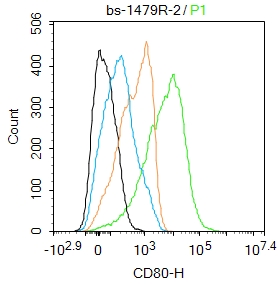 Raji cells were incubated in 5% BSA blocking buffer for 30 min at room temperature. Cells were then stained with CD80 Polyclonal Antibody(bs-1479R)at 1:50 dilution in blocking buffer and incubated for 30 min at room temperature, washed twice with 2%BSA in PBS, followed by secondary antibody incubation for 40 min at room temperature. Acquisitions of 20,000 events were performed. Cells stained with primary antibody (green), and isotype control (orange).