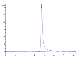 The purity of Human CD122\/IL2RB is greater than 95% as determined by SEC-HPLC.