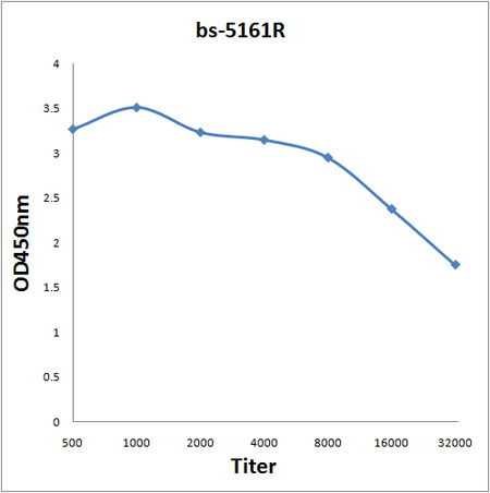 Antigen: bs-5161P, 0.2ug/100ul \nPrimary: Antiserum, 1:500, 1:1000, 1:2000, 1:4000, 1:8000, 1:16000, 1:32000; \nSecondary: HRP conjugated Goat-Anti-Rabbit IgG(bs-0295G-HRP) at 1: 5000;\nTMB staining;\nRead the data in MicroplateReader by 450