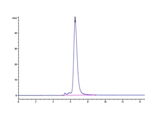 The purity of Recombinant human MICA Protein is greater than 95% as determined by SEC-HPLC.