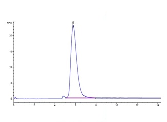 Recombinant Cyno ACE2 Protein, C-His-Avi (HEK293), Biotinylated, Biotin Conjugated