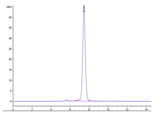 The purity of Biotinylated Recombinant Human CD122\/IL2RB Protein is greater than 95% as determined by SEC-HPLC.