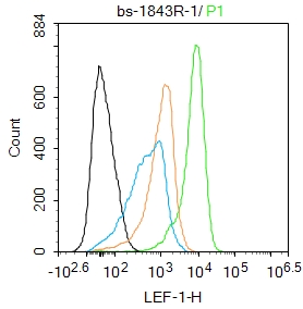 Molt4 cells were fixed with 4% PFA for 10min at room temperature,permeabilized with 90% ice-cold methanol for 20 min at -20℃, and incubated in 5% BSA blocking buffer for 30 min at room temperature. Cells were then stained with LEF-1 Polyclonal Antibody(bs-1843R)at 1:100 dilution in blocking buffer and incubated for 30 min at room temperature, washed twice with 2%BSA in PBS, followed by secondary antibody incubation for 40 min at room temperature. Acquisitions of 20,000 events were performed. Cells stained with primary antibody (green), and isotype control (orange). Molt4 cells were fixed with 4% PFA for 10min at room temperature,permeabilized with 90% ice-cold methanol for 20 min at -20℃, and incubated in 5% BSA blocking buffer for 30 min at room temperature. Cells were then stained with LEF-1 Polyclonal Antibody(bs-1843R)at 1:100 dilution in blocking buffer and incubated for 30 min at room temperature, washed twice with 2%BSA in PBS, followed by secondary antibody incubation for 40 min at room temperature. Acquisitions of 20,000 events were performed. Cells stained with primary antibody (green), and isotype control (orange).