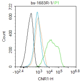 SH-SY5Y cells were incubated in 5% BSA blocking buffer for 30 min at room temperature. Cells were then stained with CNR1 Polyclonal Antibody(bs-1683R)at 1:100 dilution in blocking buffer and incubated for 30 min at room temperature, washed twice with 2%BSA in PBS, followed by secondary antibody incubation for 40 min at room temperature. Acquisitions of 20,000 events were performed. Cells stained with primary antibody (green), and isotype control (orange).