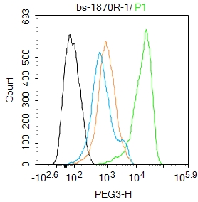 SH-SY5Y cells were fixed with 4% PFA for 10min at room temperature,permeabilized with 90% ice-cold methanol for 20 min at -20℃, and incubated in 5% BSA blocking buffer for 30 min at room temperature. Cells were then stained with PEG3 Polyclonal Antibody(bs-1870R)at 1:100 dilution in blocking buffer and incubated for 30 min at room temperature, washed twice with 2%BSA in PBS, followed by secondary antibody incubation for 40 min at room temperature. Acquisitions of 20,000 events were performed. Cells stained with primary antibody (green), and isotype control (orange).