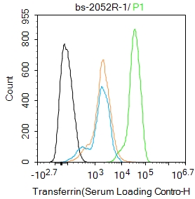 HepG2 cells were fixed with 4% PFA for 10min at room temperature,permeabilized with 90% ice-cold methanol for 20 min at -20℃, and incubated in 5% BSA blocking buffer for 30 min at room temperature. Cells were then stained with Transferrin(Serum Loading Control) Polyclonal Antibody(bs-2052R)at 1:100 dilution in blocking buffer and incubated for 30 min at room temperature, washed twice with 2%BSA in PBS, followed by secondary antibody incubation for 40 min at room temperature. Acquisitions of 20,000 events were performed. Cells stained with primary antibody (green), and isotype control (orange). HepG2 cells were fixed with 4% PFA for 10min at room temperature,permeabilized with 90% ice-cold methanol for 20 min at -20℃, and incubated in 5% BSA blocking buffer for 30 min at room temperature. Cells were then stained with Transferrin(Serum Loading Control) Polyclonal Antibody(bs-2052R)at 1:100 dilution in blocking buffer and incubated for 30 min at room temperature, washed twice with 2%BSA in PBS, followed by secondary antibody incubation for 40 min at room temperature. Acquisitions of 20,000 events were performed. Cells stained with primary antibody (green), and isotype control (orange).