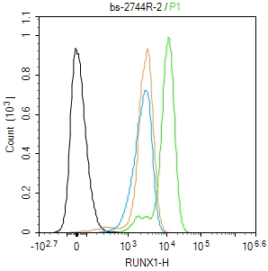 Molt4 cells were fixed with 4% PFA for 10min at room temperature,permeabilized with 90% ice-cold methanol for 20 min at -20℃, and incubated in 5% BSA blocking buffer for 30 min at room temperature. Cells were then stained with RUNX1 Antibody(bs-2744R)at 1:100 dilution in blocking buffer and incubated for 30 min at room temperature, washed twice with 2%BSA in PBS, followed by secondary antibody incubation for 40 min at room temperature. Acquisitions of 20,000 events were performed. Cells stained with primary antibody (green), and isotype control (orange).