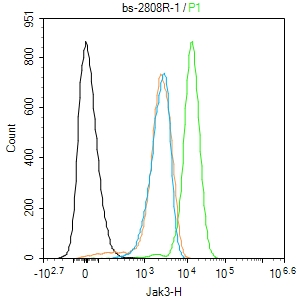 Molt4 cells were fixed with 4% PFA for 10min at room temperature,permeabilized with 90% ice-cold methanol for 20 min at -20℃, and incubated in 5% BSA blocking buffer for 30 min at room temperature. Cells were then stained with Jak3 Antibody(bs-2808R)at 1:100 dilution in blocking buffer and incubated for 30 min at room temperature, washed twice with 2%BSA in PBS, followed by secondary antibody incubation for 40 min at room temperature. Acquisitions of 20,000 events were performed. Cells stained with primary antibody (green), and isotype control (orange). Molt4 cells were fixed with 4% PFA for 10min at room temperature,permeabilized with 90% ice-cold methanol for 20 min at -20℃, and incubated in 5% BSA blocking buffer for 30 min at room temperature. Cells were then stained with Jak3 Antibody(bs-2808R)at 1:100 dilution in blocking buffer and incubated for 30 min at room temperature, washed twice with 2%BSA in PBS, followed by secondary antibody incubation for 40 min at room temperature. Acquisitions of 20,000 events were performed. Cells stained with primary antibody (green), and isotype control (orange).