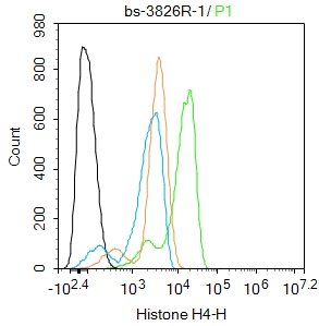 Hela cells were fixed with 4% PFA for 10min at room temperature,permeabilized with 90% ice-cold methanol for 20 min at -20℃, and incubated in 5% BSA blocking buffer for 30 min at room temperature. Cells were then stained with Histone H4 Polyclonal Antibody(bs-3826R)at 1:100 dilution in blocking buffer and incubated for 30 min at room temperature, washed twice with 2%BSA in PBS, followed by secondary antibody incubation for 40 min at room temperature. Acquisitions of 20,000 events were performed. Cells stained with primary antibody (green), and isotype control (orange).