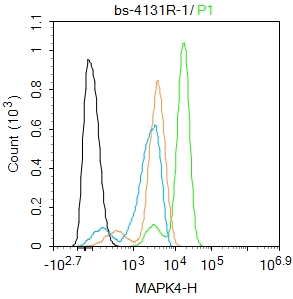 Hela cells were fixed with 4% PFA for 10min at room temperature,permeabilized with 90% ice-cold methanol for 20 min at -20℃, and incubated in 5% BSA blocking buffer for 30 min at room temperature. Cells were then stained with MAPK4 Polyclonal Antibody(bs-4131R)at 1:100 dilution in blocking buffer and incubated for 30 min at room temperature, washed twice with 2%BSA in PBS, followed by secondary antibody incubation for 40 min at room temperature. Acquisitions of 20,000 events were performed. Cells stained with primary antibody (green), and isotype control (orange).