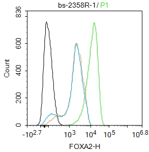 HepG2 cells were fixed with 4% PFA for 10min at room temperature,permeabilized with 90% ice-cold methanol for 20 min at -20\u2103, and incubated in 5% BSA blocking buffer for 30 min at room temperature. Cells were then stained with FOXA2 Polyclonal  Antibody(bs-2358R)at 1:100 dilution in blocking buffer and incubated for 30 min at room temperature, washed twice with 2%BSA in PBS, followed by secondary antibody incubation for 40 min at room temperature. Acquisitions of 20,000 events were performed. Cells stained with primary antibody (green), and isotype control (orange).
