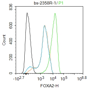 HepG2 cells were fixed with 4% PFA for 10min at room temperature,permeabilized with 90% ice-cold methanol for 20 min at -20℃, and incubated in 5% BSA blocking buffer for 30 min at room temperature. Cells were then stained with FOXA2 Polyclonal Antibody(bs-2358R)at 1:100 dilution in blocking buffer and incubated for 30 min at room temperature, washed twice with 2%BSA in PBS, followed by secondary antibody incubation for 40 min at room temperature. Acquisitions of 20,000 events were performed. Cells stained with primary antibody (green), and isotype control (orange).