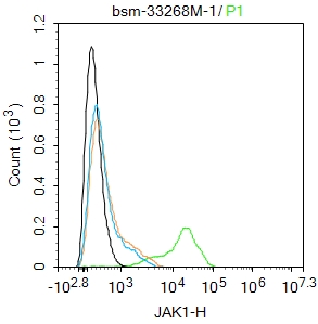MCF-7 cells were fixed with 4% PFA for 10min at room temperature,permeabilized with 90% ice-cold methanol for 20 min at -20℃, and incubated in 5% BSA blocking buffer for 30 min at room temperature. Cells were then stained with JAK1 Monoclonal Antibody(bsm-33267M)at 1:100 dilution in blocking buffer and incubated for 30 min at room temperature, washed twice with 2%BSA in PBS, followed by secondary antibody incubation for 40 min at room temperature. Acquisitions of 20,000 events were performed. Cells stained with primary antibody (green), and isotype control (orange).