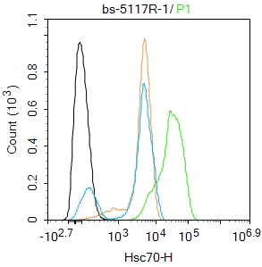 Hela cells were fixed with 4% PFA for 10min at room temperature,permeabilized with 90% ice-cold methanol for 20 min at -20℃, and incubated in 5% BSA blocking buffer for 30 min at room temperature. Cells were then stained with Hsc70 Polyclonal Antibody(bs-5117R)at 1:100 dilution in blocking buffer and incubated for 30 min at room temperature, washed twice with 2%BSA in PBS, followed by secondary antibody incubation for 40 min at room temperature. Acquisitions of 20,000 events were performed. Cells stained with primary antibody (green), and isotype control (orange).