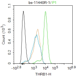 Hela cells were fixed with 4% PFA for 10min at room temperature,permeabilized with 90% ice-cold methanol for 20 min at -20℃, and incubated in 5% BSA blocking buffer for 30 min at room temperature. Cells were then stained with THRB1 Polyclonal Antibody(bs-11440R)at 1:100 dilution in blocking buffer and incubated for 30 min at room temperature, washed twice with 2%BSA in PBS, followed by secondary antibody incubation for 40 min at room temperature. Acquisitions of 20,000 events were performed. Cells stained with primary antibody (green), and isotype control (orange). Hela cells were fixed with 4% PFA for 10min at room temperature,permeabilized with 90% ice-cold methanol for 20 min at -20℃, and incubated in 5% BSA blocking buffer for 30 min at room temperature. Cells were then stained with THRB1 Polyclonal Antibody(bs-11440R)at 1:100 dilution in blocking buffer and incubated for 30 min at room temperature, washed twice with 2%BSA in PBS, followed by secondary antibody incubation for 40 min at room temperature. Acquisitions of 20,000 events were performed. Cells stained with primary antibody (green), and isotype control (orange).