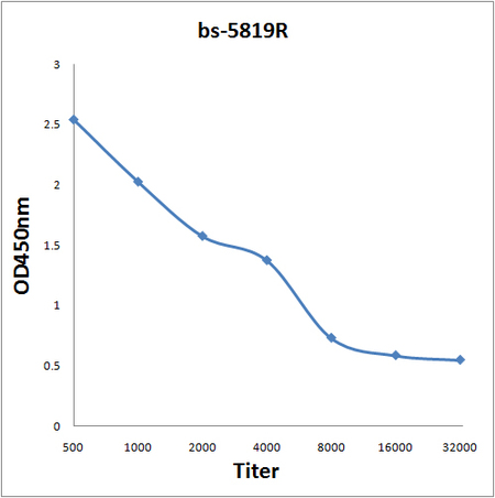 Antigen: bs-5819P, 0.2ug/100ul \nPrimary: Antiserum, 1:500, 1:1000, 1:2000, 1:4000, 1:8000, 1:16000, 1:32000; \nSecondary: HRP conjugated Goat-Anti-Rabbit IgG(bs-0295G-HRP) at 1: 5000;\nTMB staining;\nRead the data in MicroplateReader by 450