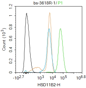 MCF-7 cells were fixed with 4% PFA for 10min at room temperature,permeabilized with 90% ice-cold methanol for 20 min at -20℃, and incubated in 5% BSA blocking buffer for 30 min at room temperature. Cells were then stained with HSD11B2 Polyclonal Antibody(bs-3618R)at 1:100 dilution in blocking buffer and incubated for 30 min at room temperature, washed twice with 2%BSA in PBS, followed by secondary antibody incubation for 40 min at room temperature. Acquisitions of 20,000 events were performed. Cells stained with primary antibody (green), and isotype control (orange). MCF-7 cells were fixed with 4% PFA for 10min at room temperature,permeabilized with 90% ice-cold methanol for 20 min at -20℃, and incubated in 5% BSA blocking buffer for 30 min at room temperature. Cells were then stained with HSD11B2 Polyclonal Antibody(bs-3618R)at 1:100 dilution in blocking buffer and incubated for 30 min at room temperature, washed twice with 2%BSA in PBS, followed by secondary antibody incubation for 40 min at room temperature. Acquisitions of 20,000 events were performed. Cells stained with primary antibody (green), and isotype control (orange).