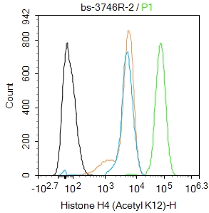MCF-7 cells were fixed with 4% PFA for 10min at room temperature,permeabilized with 90% ice-cold methanol for 20 min at -20℃, and incubated in 5% BSA blocking buffer for 30 min at room temperature. Cells were then stained with Histone H4 (Acetyl K12) Antibody(bs-3746R)at 1:50 dilution in blocking buffer and incubated for 30 min at room temperature, washed twice with 2%BSA in PBS, followed by secondary antibody incubation for 40 min at room temperature. Acquisitions of 20,000 events were performed. Cells stained with primary antibody (green), and isotype control (orange). MCF-7 cells were fixed with 4% PFA for 10min at room temperature,permeabilized with 90% ice-cold methanol for 20 min at -20℃, and incubated in 5% BSA blocking buffer for 30 min at room temperature. Cells were then stained with Histone H4 (Acetyl K12) Antibody(bs-3746R)at 1:50 dilution in blocking buffer and incubated for 30 min at room temperature, washed twice with 2%BSA in PBS, followed by secondary antibody incubation for 40 min at room temperature. Acquisitions of 20,000 events were performed. Cells stained with primary antibody (green), and isotype control (orange).