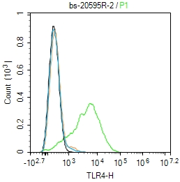 K562 cells were incubated in 5% BSA blocking buffer for 30 min at room temperature. Cells were then stained with TLR4 Polyclonal Antibody(bs-20595R)at 1:50 dilution in blocking buffer and incubated for 30 min at room temperature, washed twice with 2%BSA in PBS, followed by secondary antibody incubation for 40 min at room temperature. Acquisitions of 20,000 events were performed. Cells stained with primary antibody (green), and isotype control (orange).