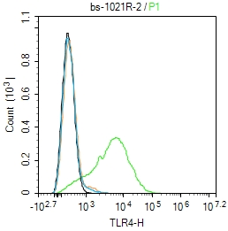 K562 cells were  incubated in 5% BSA blocking buffer for 30 min at room temperature. Cells were then stained with TLR4 Polyclonal   Antibody(bs-1021R)at 1:50 dilution in blocking buffer and incubated for 30 min at room temperature, washed twice with 2%BSA in PBS, followed by secondary antibody incubation for 40 min at room temperature. Acquisitions of 20,000 events were performed. Cells stained with primary antibody (green), and isotype control (orange).